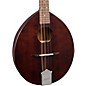 Kentucky KM-120 Army-Navy Special-Edition Mandolin Brown
