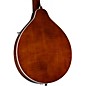 Kentucky KM-156 Standard A-Style Mandolin Transparent Brown