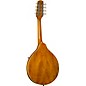 Kentucky KM-252 Deluxe A-Style Mandolin Transparent Amber