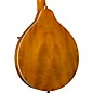 Kentucky KM-252 Deluxe A-Style Mandolin Transparent Amber