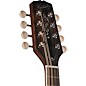 Kentucky KM-256 Deluxe A-Style Mandolin Transparent Brown