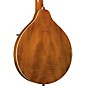 Kentucky KM-272 Deluxe Oval Hole A-Style Mandolin Transparent Amber