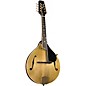 Kentucky KM-508 Artist A-Style Mandolin Gold thumbnail