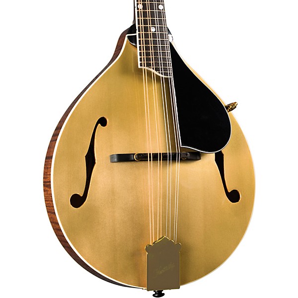 Kentucky KM-508 Artist A-Style Mandolin Gold