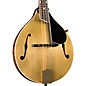 Kentucky KM-508 Artist A-Style Mandolin Gold