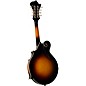 Kentucky KM-670 Standard Oval Hole F-Style Mandolin Vintage Sunburst