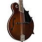 Kentucky KM-656 Standard F-Style Mandolin Transparent Brown