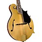 Kentucky KM-858 Artist F-Style Mandolin Gold