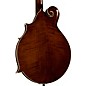 Kentucky KM-756 Deluxe F-Style Mandolin Transparent Brown