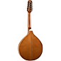Trinity College TM-275 Standard Celtic Mandola Natural