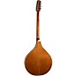 Trinity College TM-375 Standard Irish Bouzouki Natural