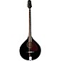 Trinity College TM-375 Standard Irish Bouzouki Black