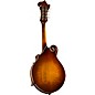 Open Box Kentucky KM-755 Deluxe F-Style Mandolin Level 1 Amber Burst