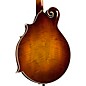 Kentucky KM-855 Artist F-Style Mandolin Amber Burst