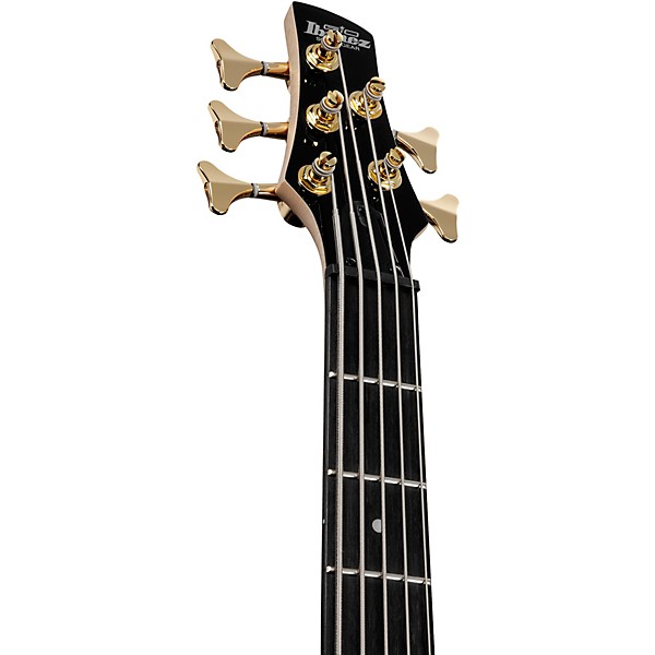 Ibanez Ibanez GSR205PC 5-String Electric Bass Guitar Transparent Pale Black Burst