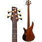 Ibanez Ibanez Prestige SR5505 5-String Electric Bass Guitar Mocha Flat