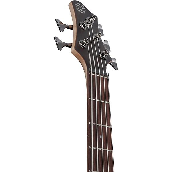 Ibanez Ibanez BTB605 5-String Electric Bass Guitar Transparent Gray Flat