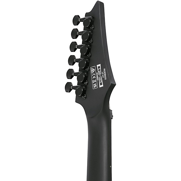 Ibanez RG Iron Label 6str Electric Guitar Black Flat