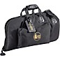 Gard 2-MSK Standard Pro Series Black Synthetic Single Flugelhorn Gig Bag thumbnail