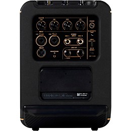 Positive Grid Spark EDGE Portable 4-Channel Smart Amp & PA Black