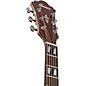 Ibanez AE170 Grand Auditorium Acoustic-Electric Guitar Natural