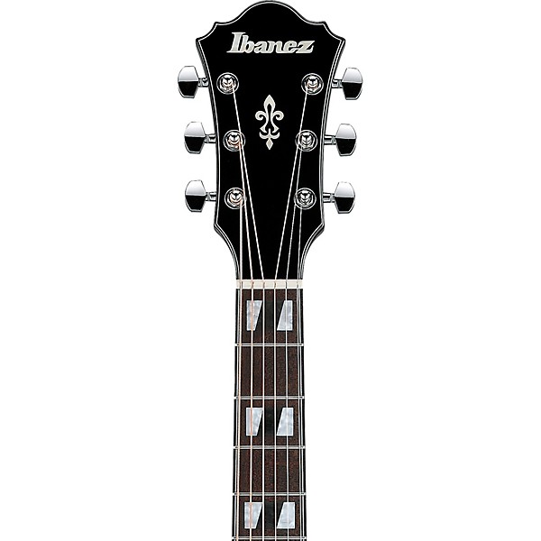 Ibanez AE170 Grand Auditorium Acoustic-Electric Guitar - Transparent Black