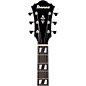 Ibanez AE170 Grand Auditorium Acoustic-Electric Guitar - Transparent Black
