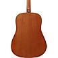 Ibanez PF50 Dreadnought Acoustic Guitar Natural