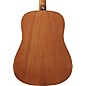 Ibanez IJV50 JamPack Dreadnought Acoustic Guitar Pack Natural