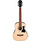 Ibanez IJV30 JamPack 3/4 Size Mini Dreadnought Acoustic Guitar Pack Natural