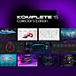 Native Instruments KOMPLETE 15 Collectors Edition Update DL