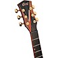Cort Abstract Delta Masterpiece Series Orchestra Acoustic-Electric Guitar Natural