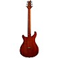 PRS Private Stock Custom 24 Electric Guitar Dirty Blonde