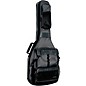Open Box Ibanez IGB651 POWERPAD Electric Guitar Gig Bag Level 1 Gray thumbnail