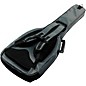Open Box Ibanez IGB651 POWERPAD Electric Guitar Gig Bag Level 1 Gray