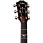 Taylor 914ce 50th Anniversary Custom Limited-Edition Grand Auditorium Acoustic-Electric Guitar Light Shaded Edge Burst