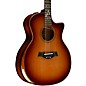 Taylor 914ce 50th Anniversary Custom Limited-Edition Grand Auditorium Acoustic-Electric Guitar Light Shaded Edge Burst thumbnail