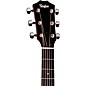Taylor 414ce Studio Grand Auditorium Acoustic-Electric Guitar Tobacco Shaded Edge Burst
