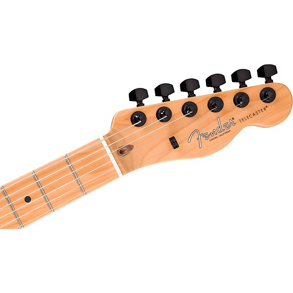 Fender American Professional II Telecaster HH Roasted Maple Neck Limited-Edition Electric Guitar Aged Natural