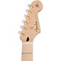 Fender Richie Kotzen Stratocaster Electric Guitar Transparent Red Burst