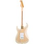 Fender Richie Kotzen Stratocaster Electric Guitar See-through White Burst