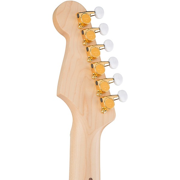 Fender Richie Kotzen Stratocaster Electric Guitar See-through White Burst