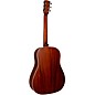 Gold Tone GT-Bell All Solid Wood Slope Shoulder Acoustic-Electric Guitar Burst