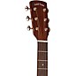 Gold Tone GT-Dread All Solid Wood Dreadnought Acoustic-Electric Guitar Burst