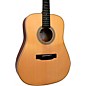 Gold Tone GT-Dread All Solid Wood Dreadnought Acoustic-Electric Guitar Natural thumbnail