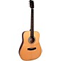 Gold Tone GT-Dread All Solid Wood Dreadnought Acoustic-Electric Guitar Natural