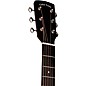 Gold Tone GT-Dread All Solid Wood Dreadnought Acoustic-Electric Guitar Natural