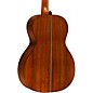 Martin 00L Oliver Limited-Edition Acoustic Guitar Graphic