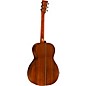 Martin 00L Oliver Limited-Edition Acoustic Guitar Graphic