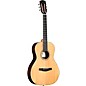Alvarez LP710e Parlor Acoustic-Electric Guitar Daybreak
